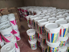 Premium Paints Collection